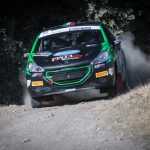 Peugeot Competition