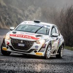 Peugeot Competition